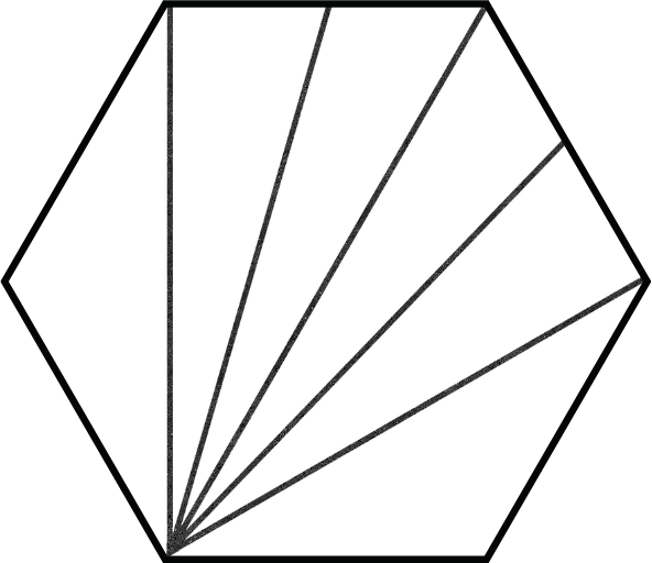 Aster Blanco Hex 9x10 Nat