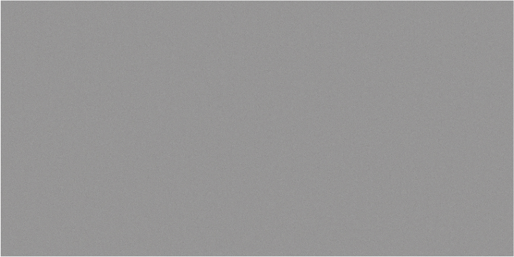 Basica Smoke 12x24 Nat