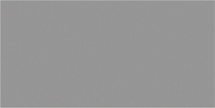 Basica Smoke 12x24 Pol