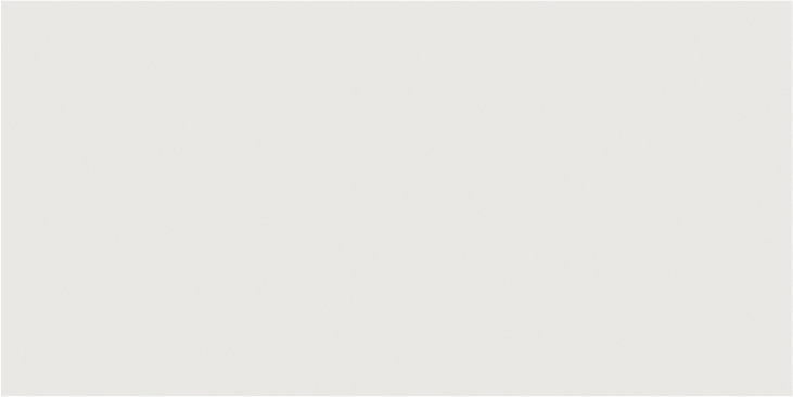 Basica True White 24x48 Pol