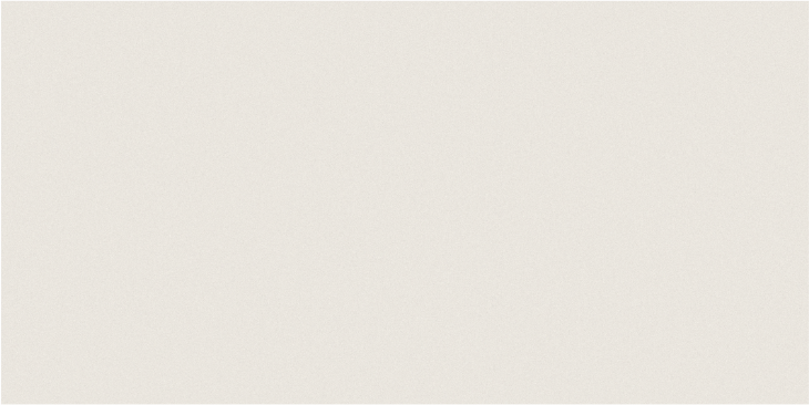 Basica Warm White 12x24 Nat