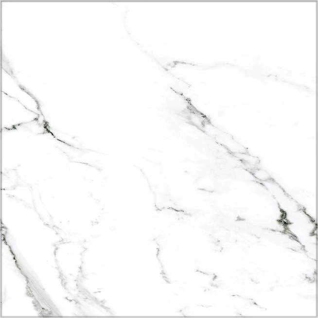 Classic Calacatta 10x10 Nat