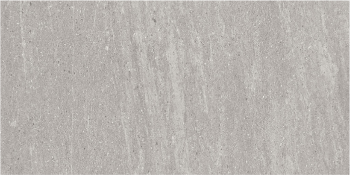 Core Silver 12x24 Nat