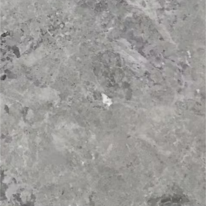Elegant Grey