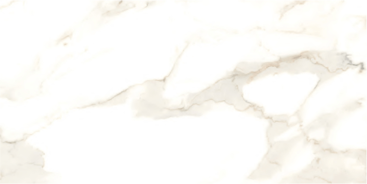 Essenze Calacatta Oro 24x48 Pol