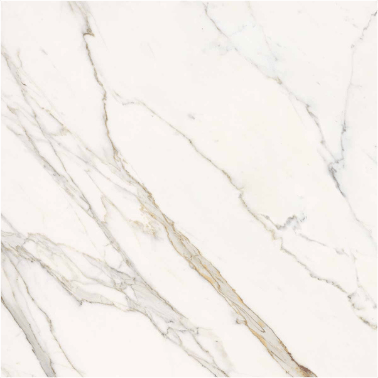Essenze Calacatta Statuarietto 24x24 Pol