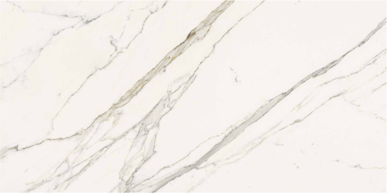 Essenze Calacatta Statuarietto 24x48 Pol