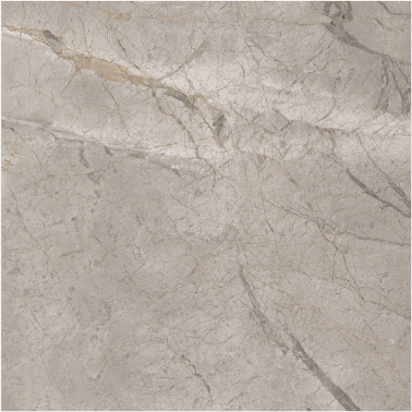 Essenze Lux Silver Grey 24x24 Pol