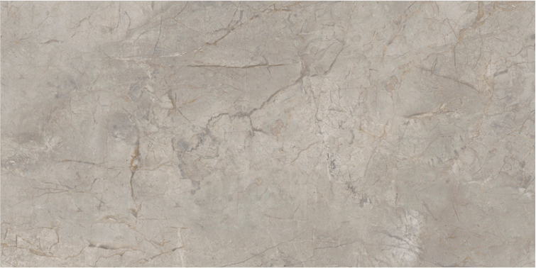 Essenze Lux Silver Grey 24x48 Pol