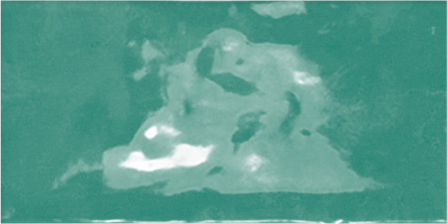 Fez Emerald 2.5x5 Gloss