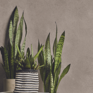 Level Concrete Taupe
