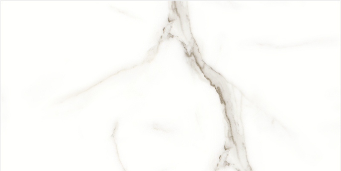Maestro Calacatta Oro 12x24 Mat