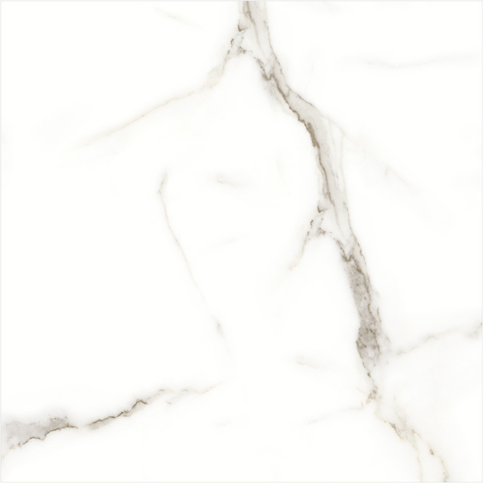 Maestro Calacatta Oro 24x24 Pol