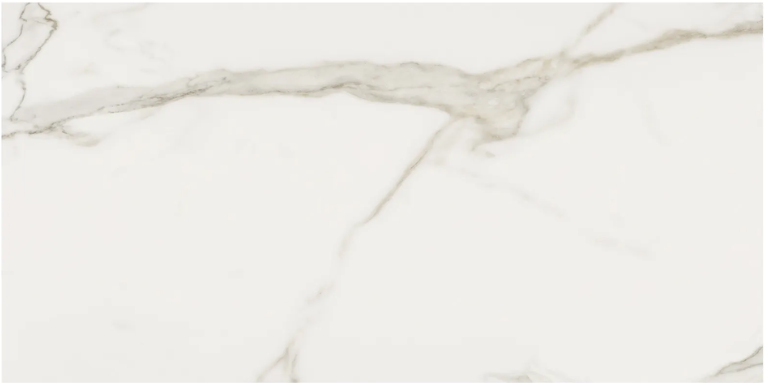 Maestro Calacatta Oro 24x48 Pol