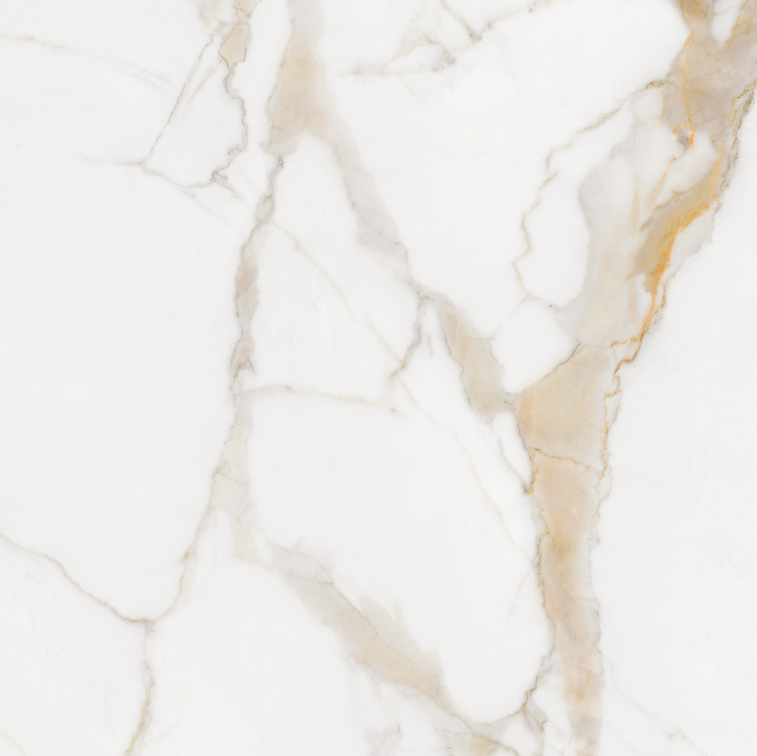 Marmo Calacatta Gold 24x24 Poli