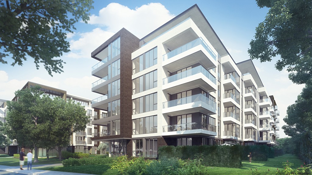 Castelneau III